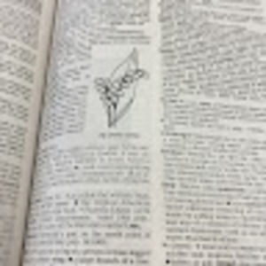 Meet your Posher, Clara